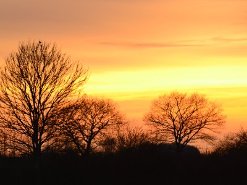 Bild Sonnenuntergang Faulück