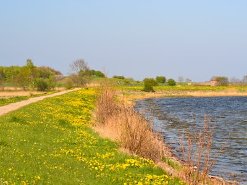 Bild Wander und Radweg Maasholm