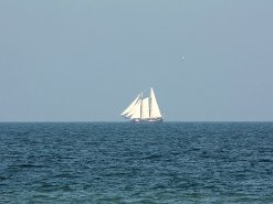 Bild Seegelschiff in der Ferne